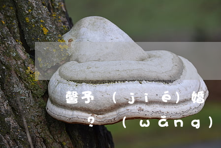 張馨予結(jié)婚，“軍婚”有多受法律保護？網(wǎng)友：再也沒人敢欺負她
